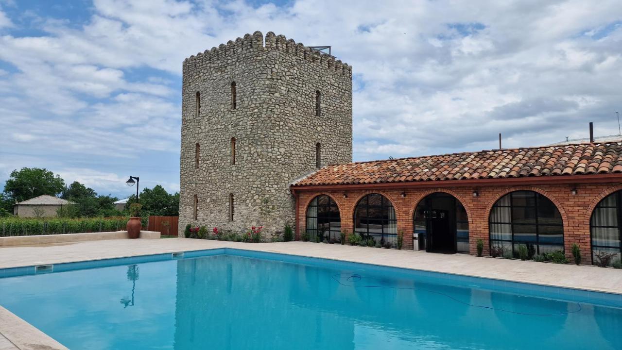 Giorgi Ushikishvilis Chateau-Marani Akhmeta Bagian luar foto