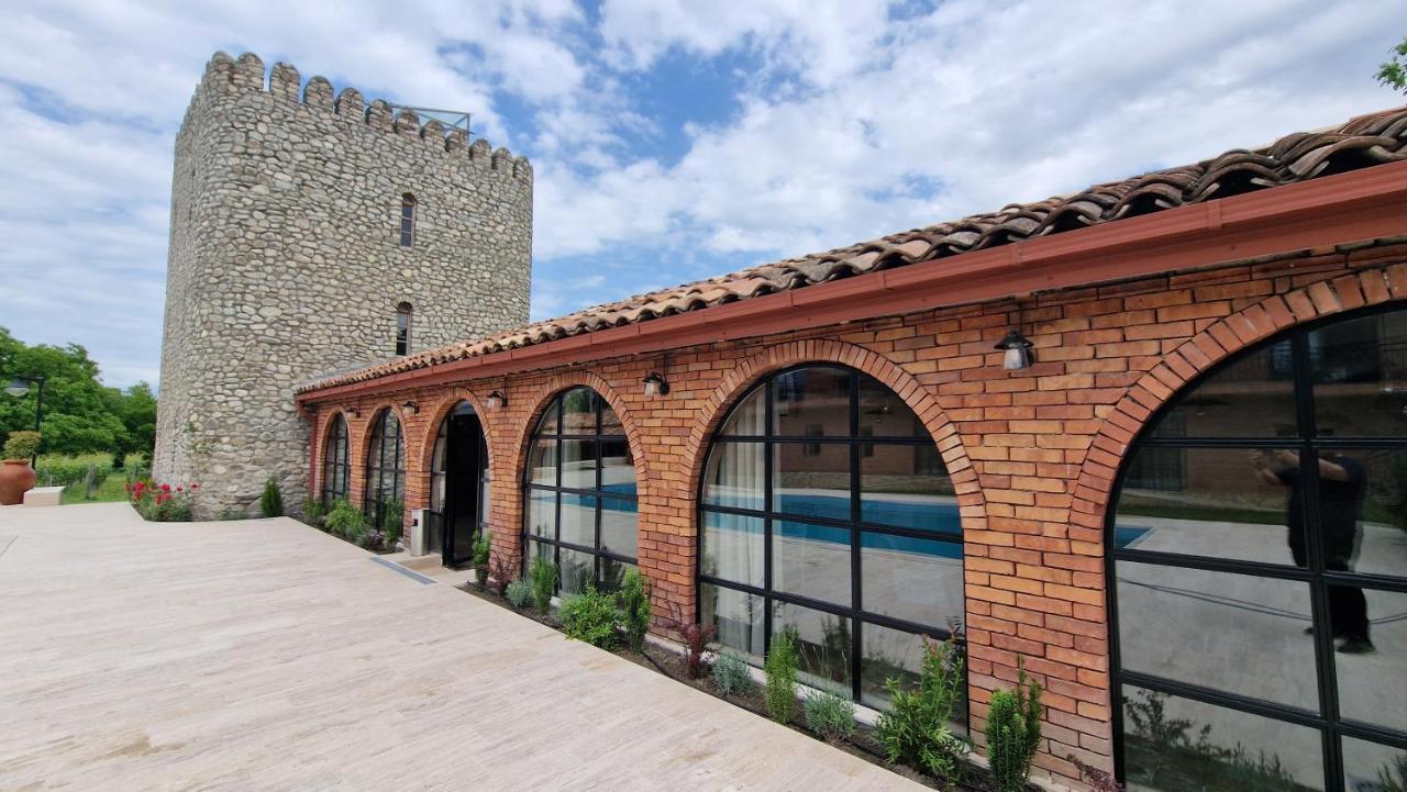 Giorgi Ushikishvilis Chateau-Marani Akhmeta Bagian luar foto