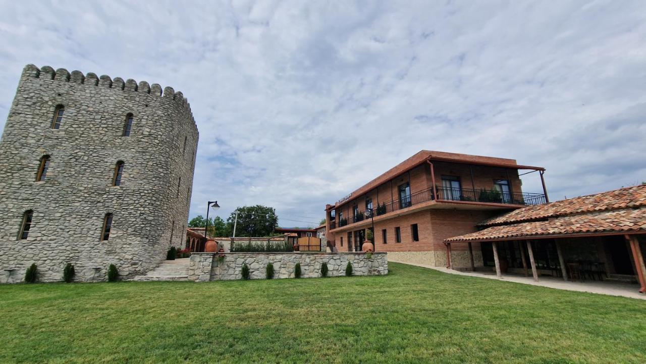 Giorgi Ushikishvilis Chateau-Marani Akhmeta Bagian luar foto
