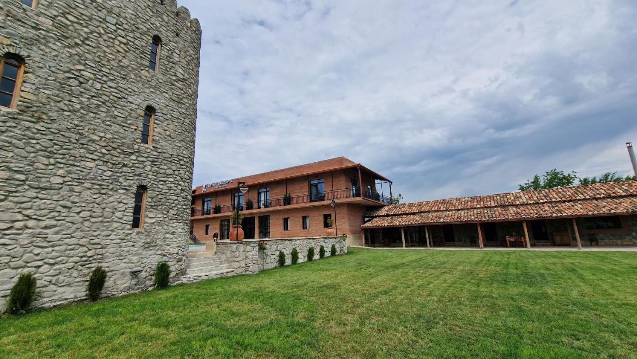Giorgi Ushikishvilis Chateau-Marani Akhmeta Bagian luar foto