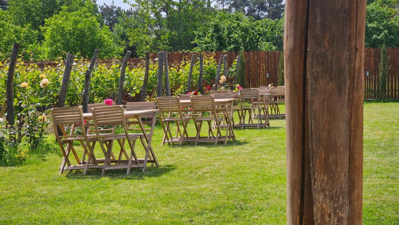 Giorgi Ushikishvilis Chateau-Marani Akhmeta Bagian luar foto